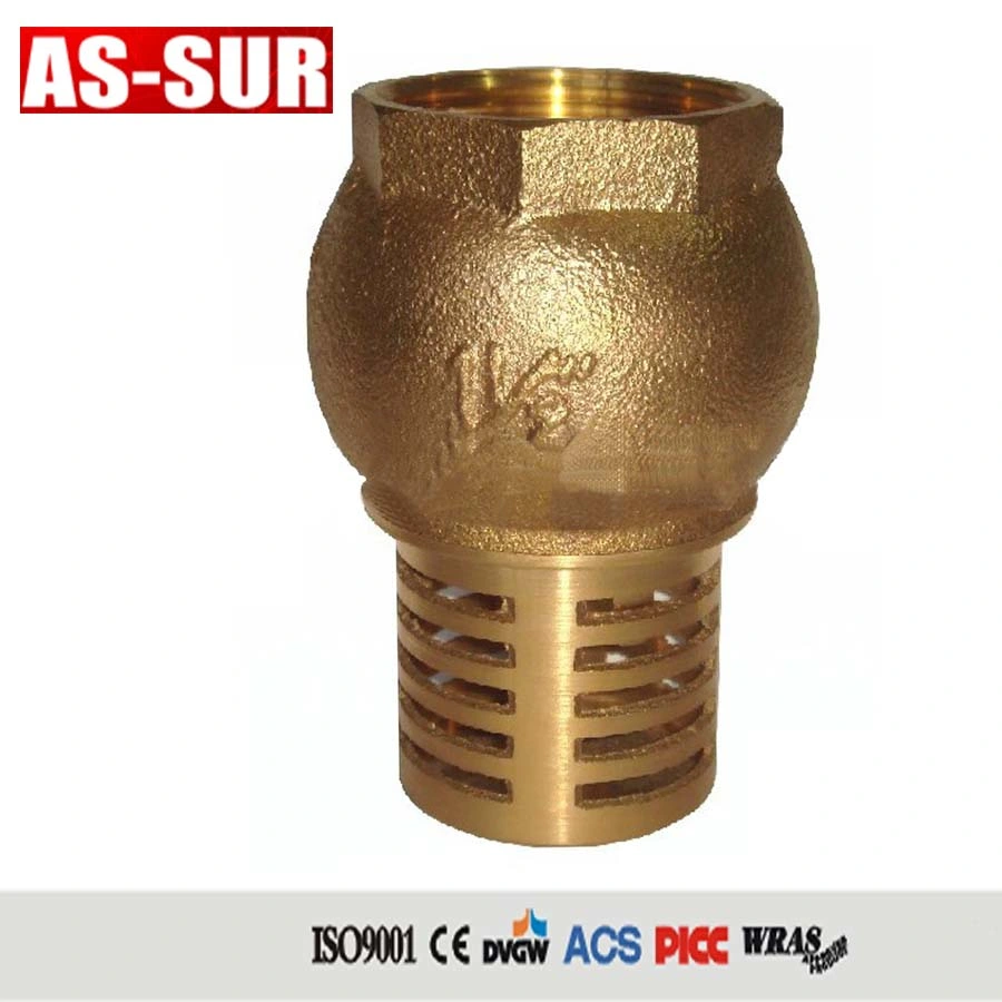 Spring Non Return Swing Valve Vertical Brass Check Valve