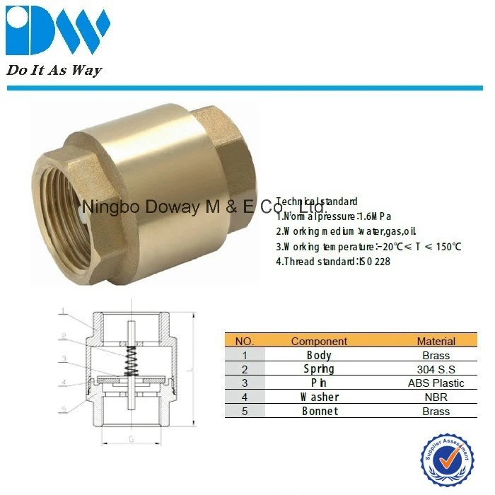 OEM/ODM Factory Forged Brass Non Return Spring Check Valve Inline Plasted in Polymer